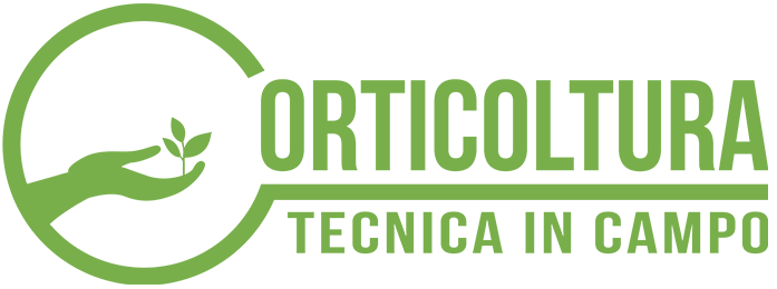 Orticoltura in Campo